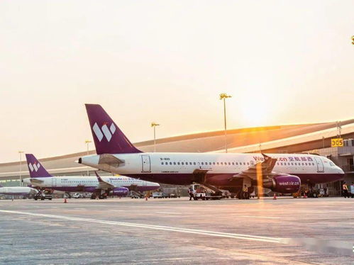 西部航空全面恢復運營，3月關鍵指標逆勢超越疫情前水平